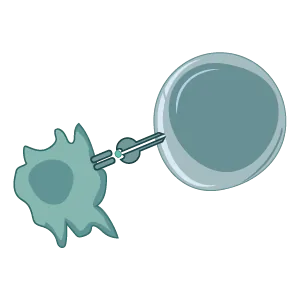 Preclinical evaluation of personalised mRNA cancer vaccine candidates